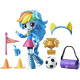 B4909 / B8025 RAINBOW DASH