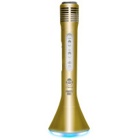 Беспроводной караоке-микрофон 4 в 1 iDance Party Mic PM 10 Gold (PM10GO)