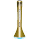 Бездротовий караоке-мікрофон 4 в 1 iDance Party Mic PM 10 Gold (PM10GO)