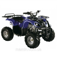 Дитячий електричний квадроцикл PROFI ATV-7E-4