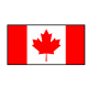 Детский Гироборд - Мини Сигвей T-A11 10 покраска Американский флаг,Канадский флаг