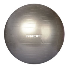 М'яч для фітнесу Profi Ball 55 см (MS 1575) Сріблястий