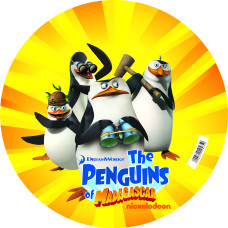 М'яч «Пінгвіни з Мадагаскару», 23 см