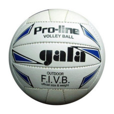 Мяч волейбол  GALA  белый