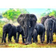 Пазл Trefl Африканські слони 1000 елементів (10442)