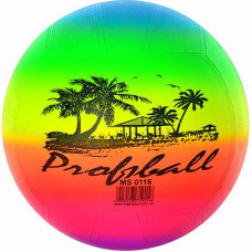 Гумовий волейбольний м'яч Profitball, 21,6 см. (MS 0116)