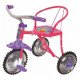 Трехколесный велосипед Profi Trike LH 701 Фиолетовый