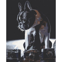 Картина по номерам. Art Craft "Застенчивый фотограф" 40х50 см 11642-AC