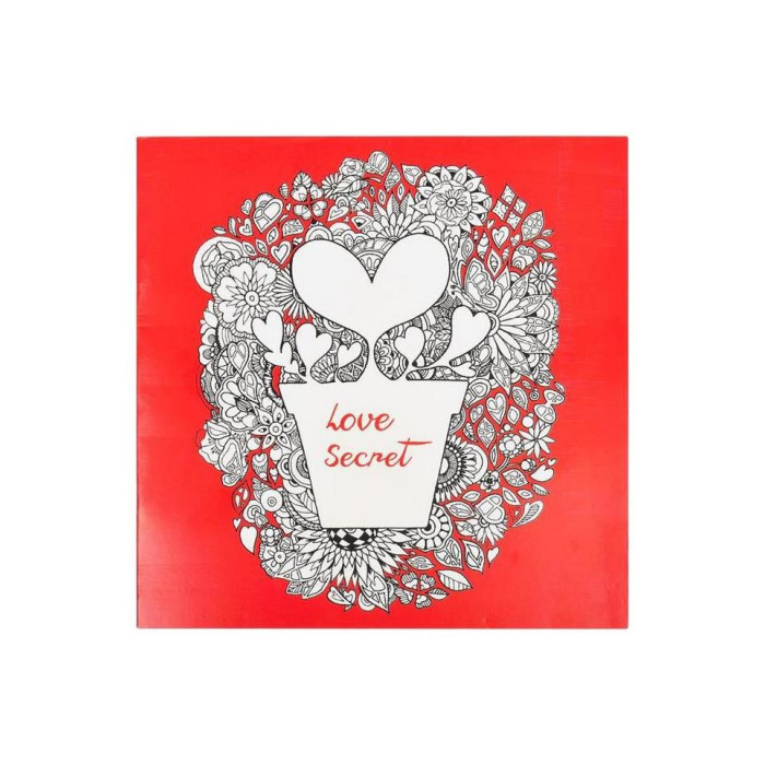 Раскраска антистресс "Love Secret" Color-It Gdm-005, 12 листов