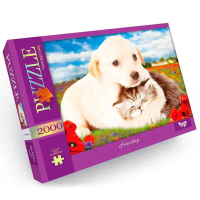 Пазл "Friendship" Danko Toys C2000-01-09, 2000 эл.