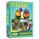 Дитяча настільна гра супер Лото "Птахи" 81930 картки птахів - 36 шт