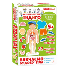 Дитяча розвиваюча гра на магнітах. Вивчаємо будову тіла 13109081, 22 картки в наборі