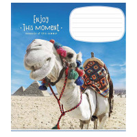 Тетрадь ученическая "Enjoy this moment" 012-2896L-1 в линию, 12 листов