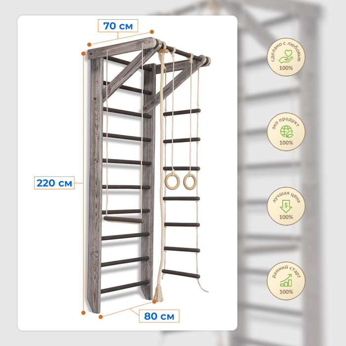 Спортивний куточок Sportbaby "Sport Loft 2-220"
