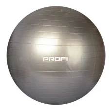 Мяч для фитнеса Profi Ball 75 см (MS 1577) Серебристый
