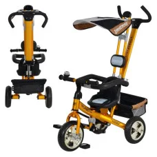 Трехколесный велосипед Profi Trike M 1655-1 Золотой