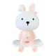 Ночник детский «Зайчик на скейте» Mgz-1407(Pink) питание от Usb