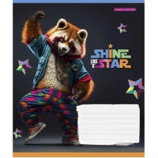 Тетрадь ученическая "Dance star" 018-3276K-3 в клетку, 18 листов